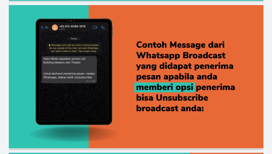 Tribelio WhatsApp Broadcast 